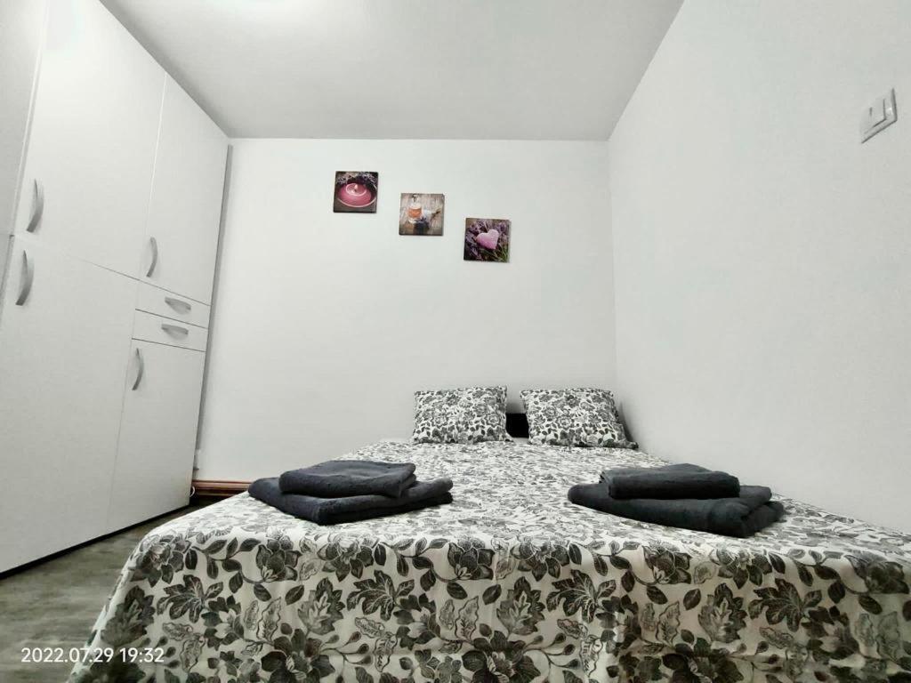 Lavanda Studio Brasov Exterior photo